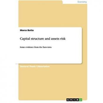 Capital structure and assets risk: Some evidence from the Euro Area