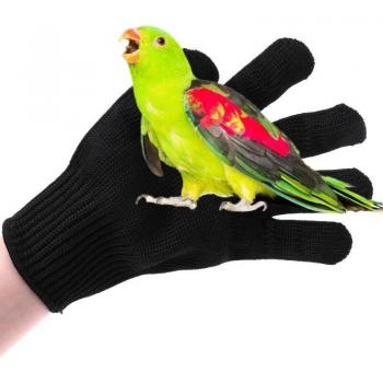 Hamster Chew-Resistant Gloves