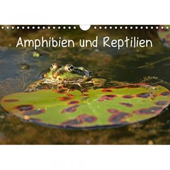 Amphibien und Reptilien
