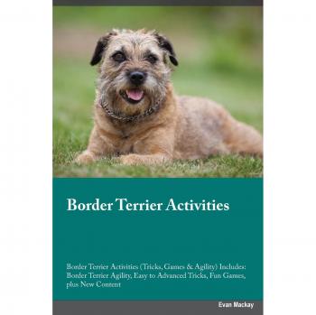 Border Terrier Activities Border Terrier Activities