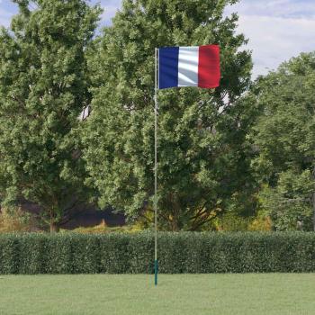 Aluminium French Flag Stand 5,55 m – VidaXL