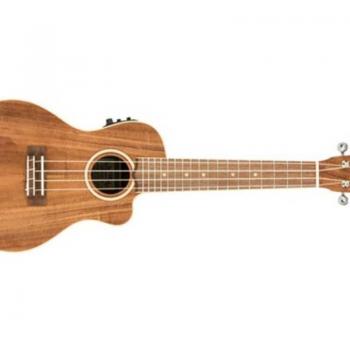 Lanikai Acacia Concert A/E Ukulele