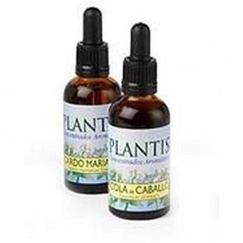 Artesania Beech Plant Essence No. 03