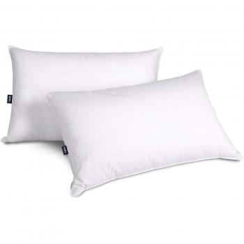 SilkCover GooseDown Pillow Pair