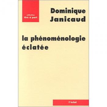 La phenomenologie eclatee