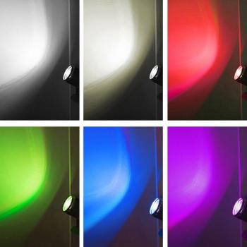 Black Shell Outdoor Spotlight