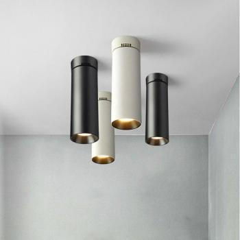 360° Adjustable COB LED Ceiling Lamp 5W