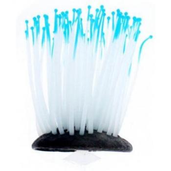 Flore Solaire Subaquatique