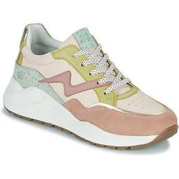 Citrouille et Compagnie Sneakers Milko