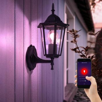 Lampada da parete a vetro con dimmer CCT e app
