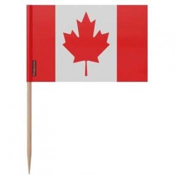 Set di stuzzicadenti Bandiera del Canada 8 cm – 100 pezzi – Bastoncino in bambù + plastica adesiva color