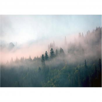 Papier Décoratif Intissé Panorama Forêt Mystique