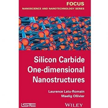 Silicon Carbide One-Dimensional Nanostructures