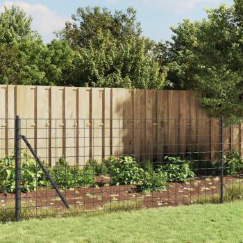 Clôture en Treillis Prolenta 0,8x25 M Anthracite