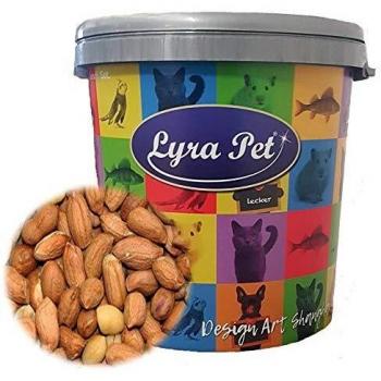 Lyra Pet® 10 kg Erdnusskerne – Hochwertige Haut, südamerikanisch, 30‑L-Vogelproviant