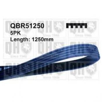 Correia Trapezoidal QBR51250