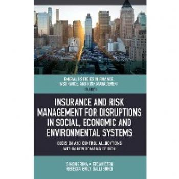 Insurance and Risk Management for Disruptions in Social, Economic and Environmental Systems: Decision and Control Allocations Within New Domains of ... Insurance, and Risk Management, 3, Band 3)