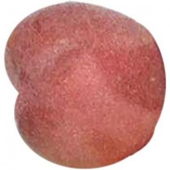 20pcs Mini Foam Fruits and Vegetables for Teaching