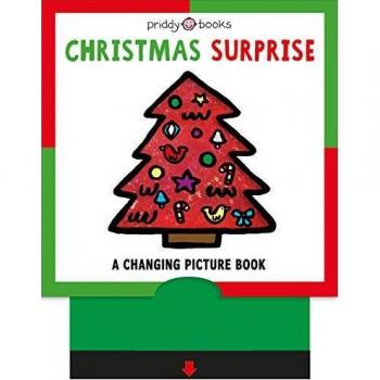 Christmas Surprise