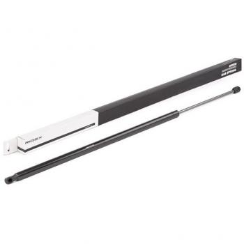 Suporte Amortecedor de Mala RIDEX 219G0878