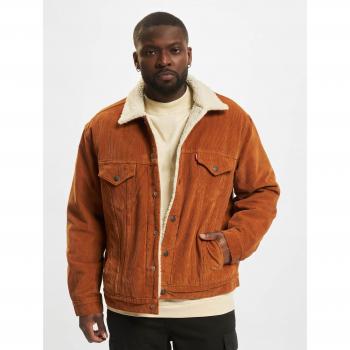 Levi's MT-TRUCKER-SHERPA in Braun