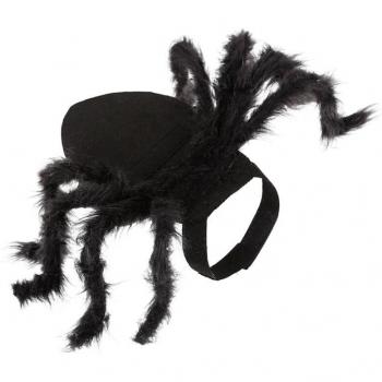 Pet Spider Costume for Halloween