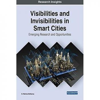 Visibilities and Invisibilities in Smart Cities: Emerging Research and Opportunities (Advances in Civil and Industrial Engineering)