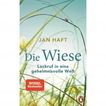 Die Wiese
