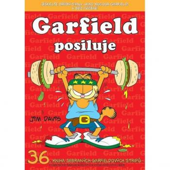 Garfield 36