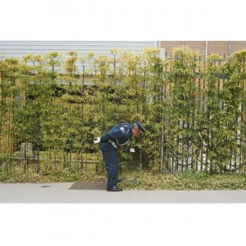 GOOD LUCK AND DO YOUR BEST [VINYL]