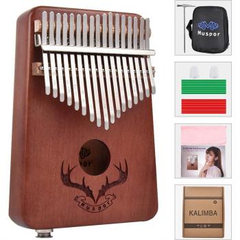 17 Schlüssel Kalimba Daumenklavier mit Holzgehäuse und Lernmaterial für Einsteiger