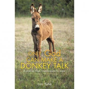 Only god can make a donkey talk paperback