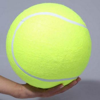 Signature Mega Jumbo Kids Toy Ball