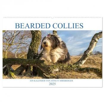 Bearded Collies Wandkalender 2025 DIN A2 quer