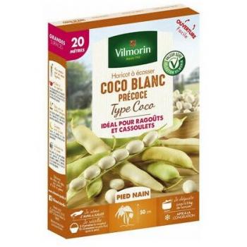 Haricot Coco nain Blanc précoce