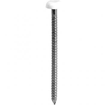 TIMCO 40mm Polymer Headed Nail