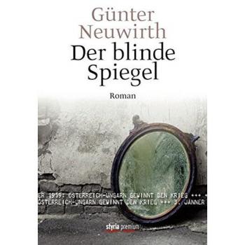 Der blinde Spiegel: Roman