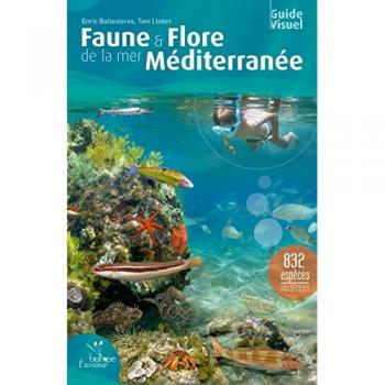 Faune Et Flore De La Mer Méditerranée