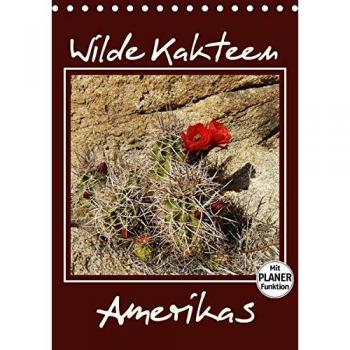 Wilde Kakteen Amerikas