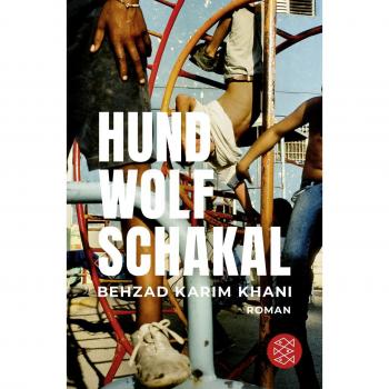 Hund, Wolf, Schakal