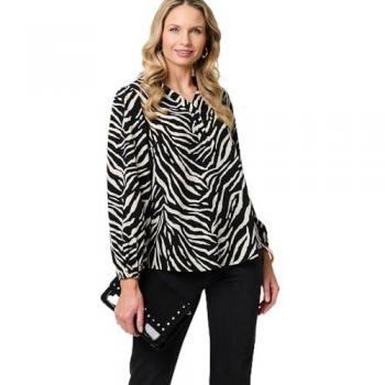 Urban Zebra Long Sleeve V-Neck Blouse
