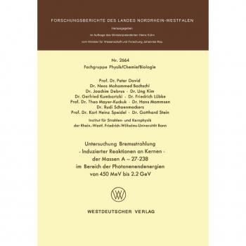 Untersuchung Bremsstrahlung