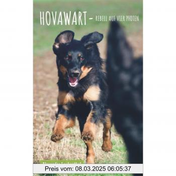 Rebell auf vier Pfoten: Hovawart