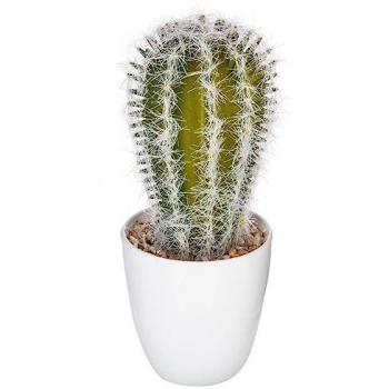 Piante Dolci 18 cm – Design di Interni