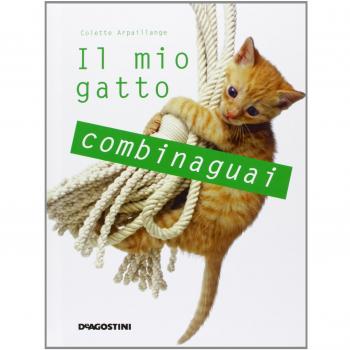 Il mio gatto combinaguai