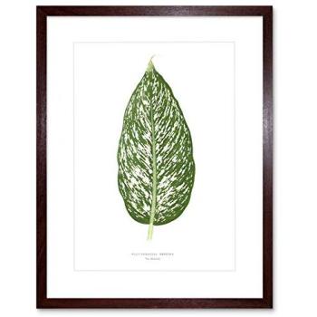 Seguina Greenleaf Wall Decor – 9x7 Framed, Brown