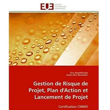 Gestion de risque de projet, plan d'action et lancement de projet