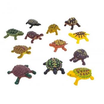 Tartarughe Colorate 12pz