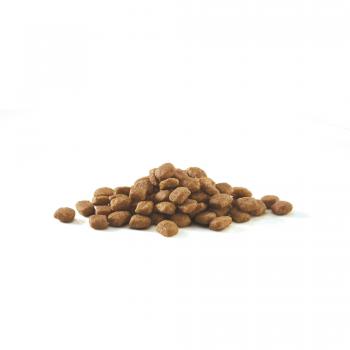 PURINA ONE Stérilisé au poulet