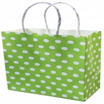 Pack de Regalo de Bolsas de Papel con Alas de Lunares en Verde – Traesio Trade Shop